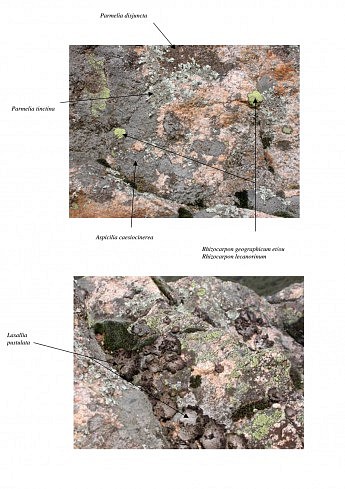 Lichens Belvèdère