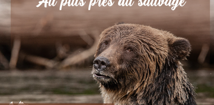 EXPOSITION BELLES BÊTES, Abraham Poincheval